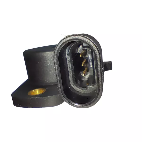 Sensor TPS Renault Clio (3)