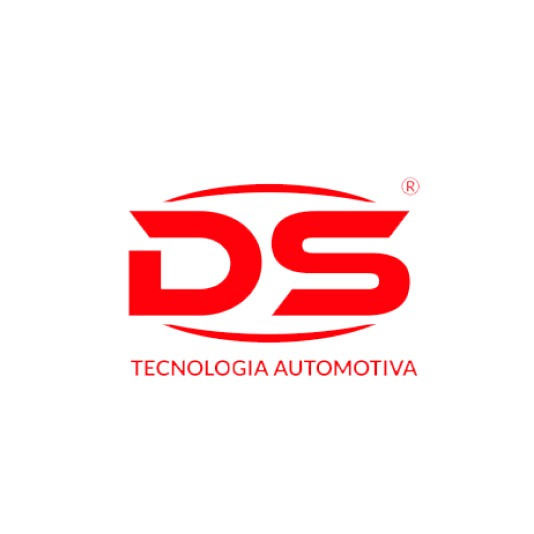 DS 2