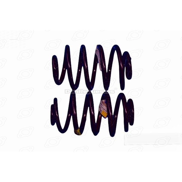 Espiral Trasero Renault Symbol Clio