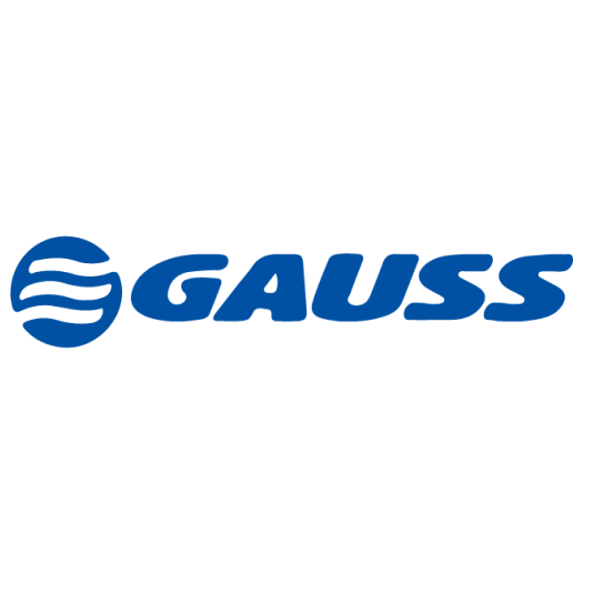 GAUSS 1