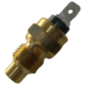 Sensor temperatura Renault Master
